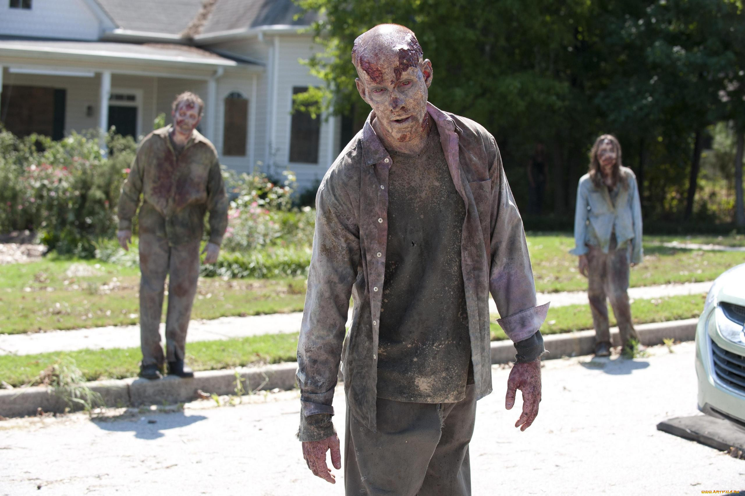  , the walking dead, 